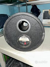 subwoofer +amplificatore 