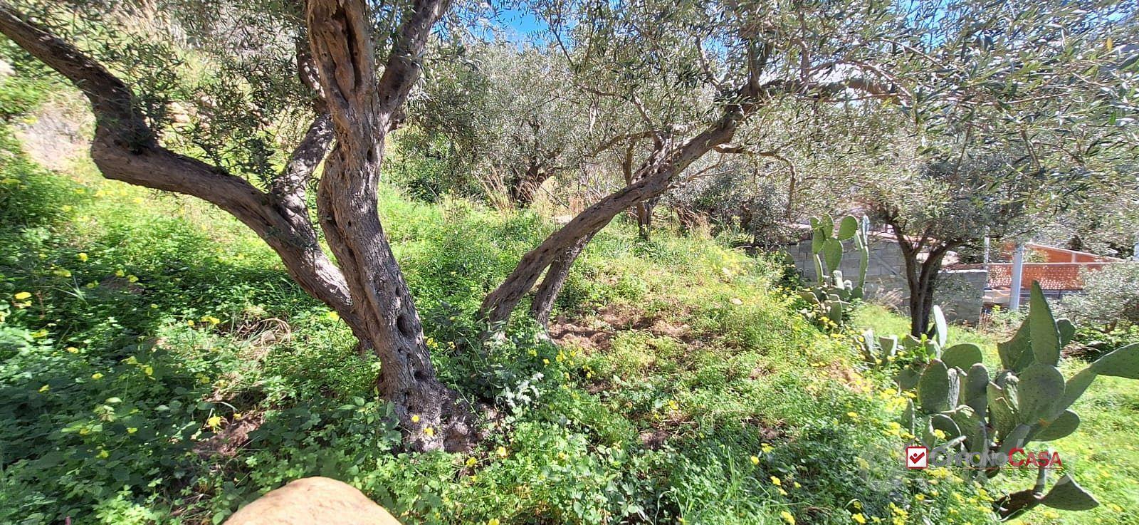 Rodia, terreno agricolo di circa 1000 mq - Altro