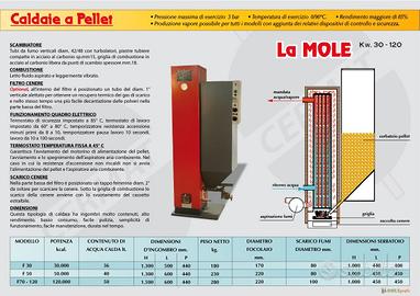 Caldaia kw.100 a biomassa