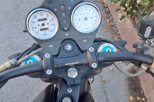Moto Guzzi V11 Sport Scura