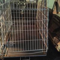 Kennel taglia media per auto