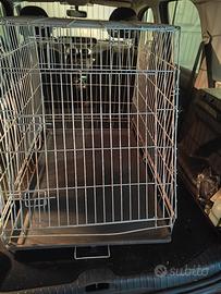 Kennel taglia media per auto