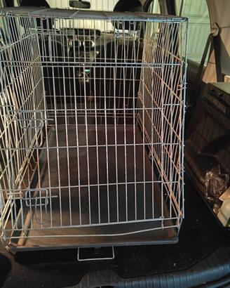 Kennel taglia media per auto