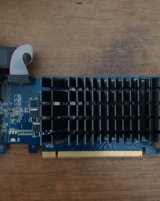 Scheda video Asus Gt218 1Gb