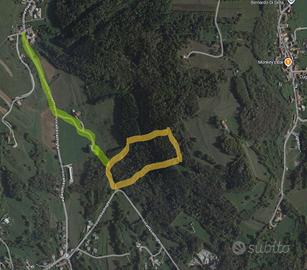 Terreno boschivo e prativo Ponte nelle Alpi (BL)