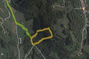 Terreno boschivo e prativo Ponte nelle Alpi (BL)