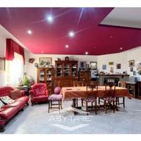 Appartamento con mansarda e tavernetta carignano t