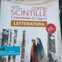 i libri della scuola media 