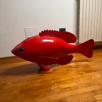 Pesce rosso da arredamento / esposizione / negozio