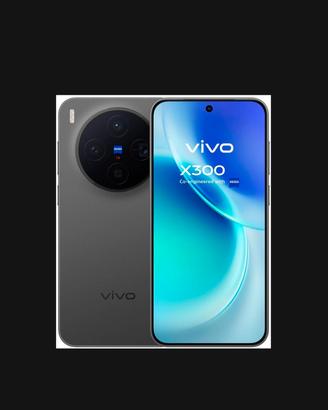 vivo x300
