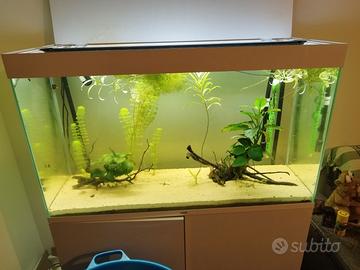 Acquario da 200 litri usato dicembre 2025