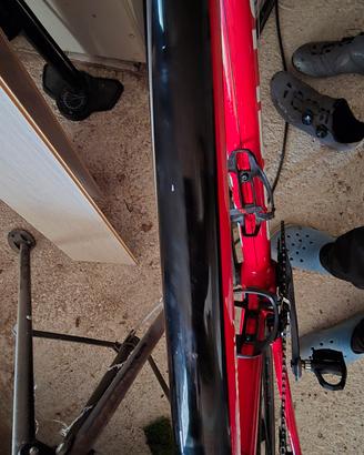 focus izalco max