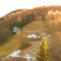 Porzione di baita con ampio terreno
