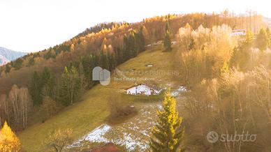 Porzione di baita con ampio terreno