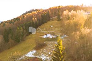 Porzione di baita con ampio terreno
