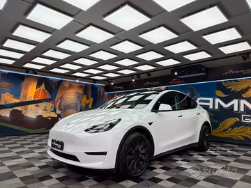 Tesla Model Y Long Range AWD (349)