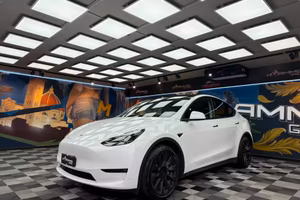 Tesla Model Y Long Range AWD (349)