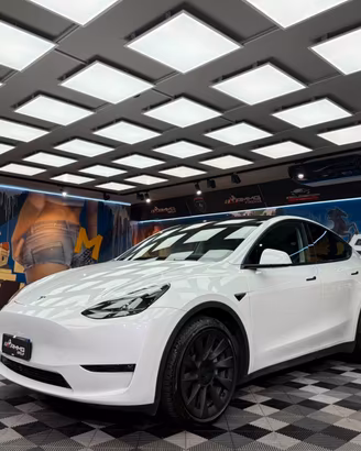 Tesla Model Y Long Range AWD (349)