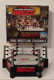 Ring Wrestling Esagonale TNA GIG 2005