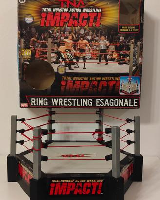 Ring Wrestling Esagonale TNA GIG 2005