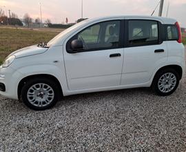 Fiat Panda 1.2 Easy 69cv GARANZIA