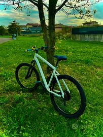 wheelie bike