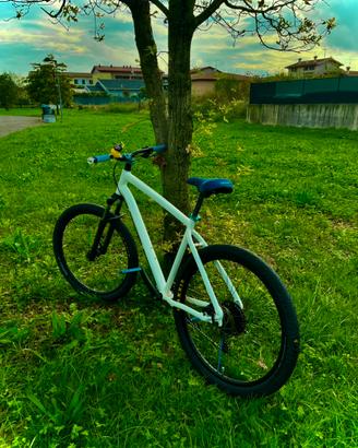 wheelie bike