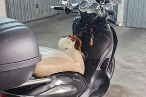 Beverly Cruiser 250