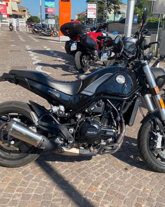 Benelli Leoncino 500 - 2021