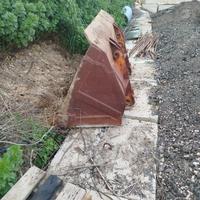 Benna pala cingolata