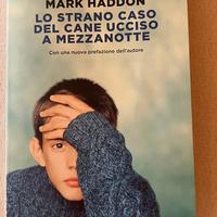 Lo strano caso del cane ucciso a mezzanotte