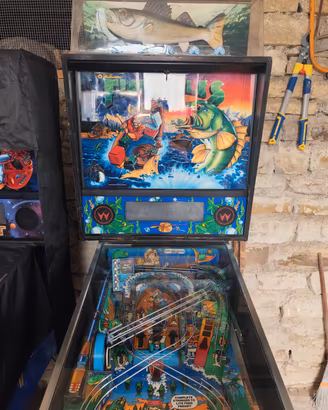 flipper fish tales 