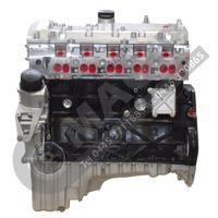 Motore semicompleto revisionato Cod. 612.965