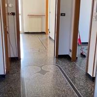 Appartamento 6 vani e mezzo (93 mq) Struppa