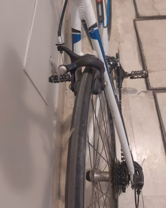 Bicicletta  da corsa