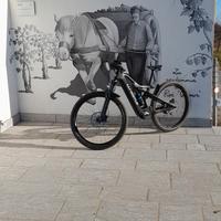 eBIKE MOUNTAIN BIKE WHISTLE B-RUSCH C5.2 CARBON  S