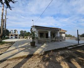 Vendesi casa in campagna