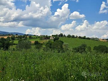 Rustico / Casale di 343 m² con più di 5 locali e b