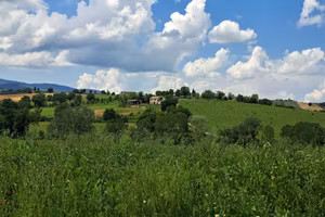 Rustico / Casale di 343 m² con più di 5 locali e b