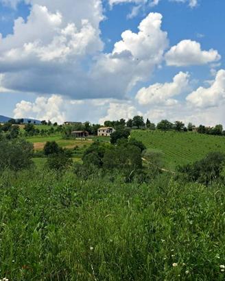 Rustico / Casale di 343 m² con più di 5 locali e b
