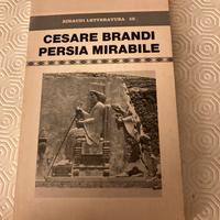 Cesare Brandi, Persia mirabile