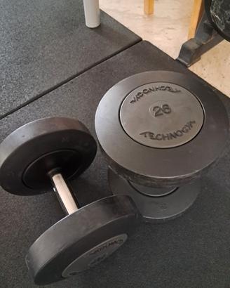 manubri technogym 