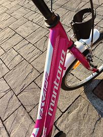 bici montata 20 pollici 