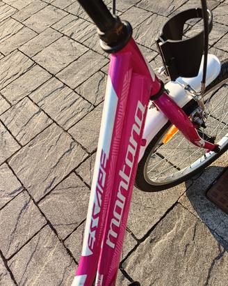 bici montata 20 pollici 