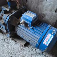 Elettropompa trifase EBARA HP5.5