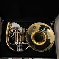 Corno Ammonn francese in Sib