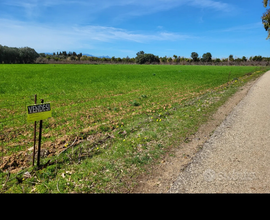 San sperate, Terreno agricolo