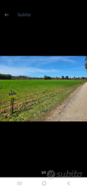 San sperate, Terreno agricolo