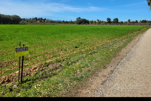 San sperate, Terreno agricolo