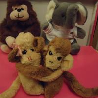 Peluche da selezionare